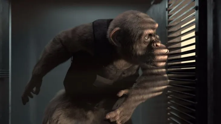 Gizli Ajan Şempanze izle